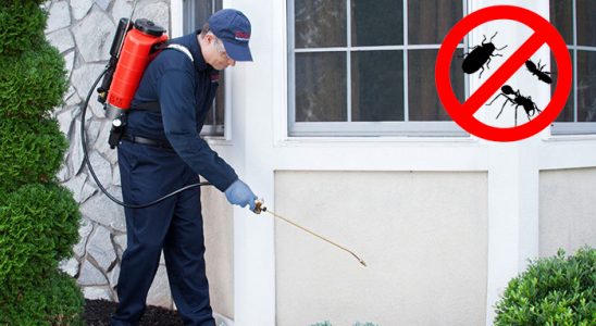 Saruhanlı Karınca İlaçlama böcek ilaçlama ve haşere kontrolü — ilaclama-tr.com